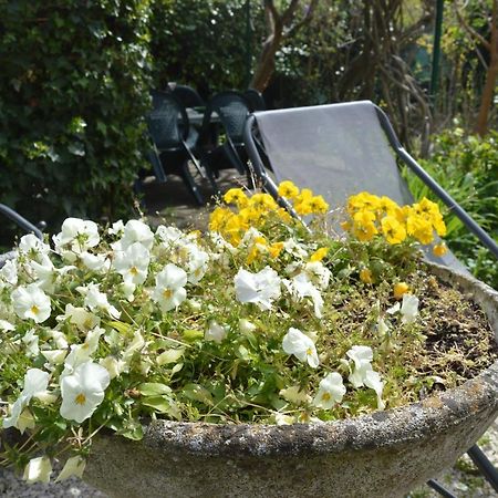 Hotel Il Giardino Nel Parco R&B Bolonia Zewnętrze zdjęcie