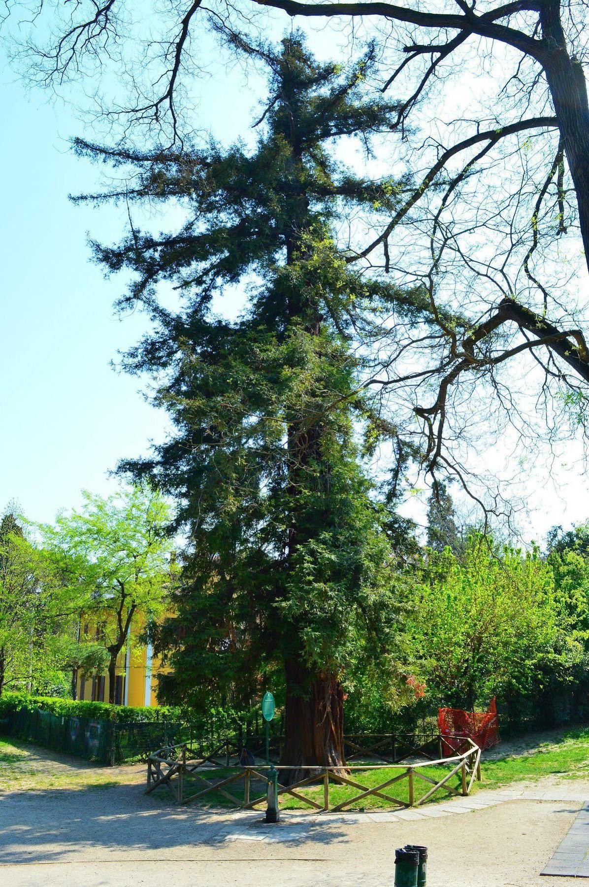 Hotel Il Giardino Nel Parco R&B Bolonia Zewnętrze zdjęcie
